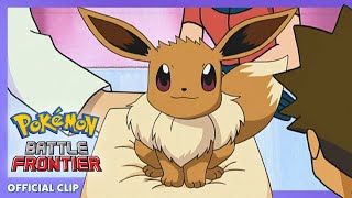 Eevee Hatches! | Pokémon: Battle Frontier | Official Clip