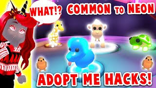 Trying Out Adopt Me Hacks! Does This Adopt Me Hack Really Work? (Roblox)