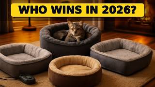 Top 5 Best Heated Pet Beds 2026 - Keep Your Pets Cozy All Winter Long