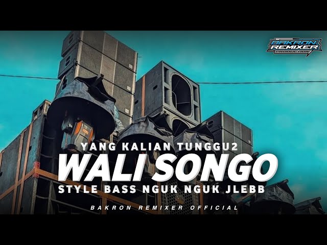 DJ WALI SONGO STYLE NGUK NGUK VIRAL TIKTOK  || DJ BAKRON REMIXER class=