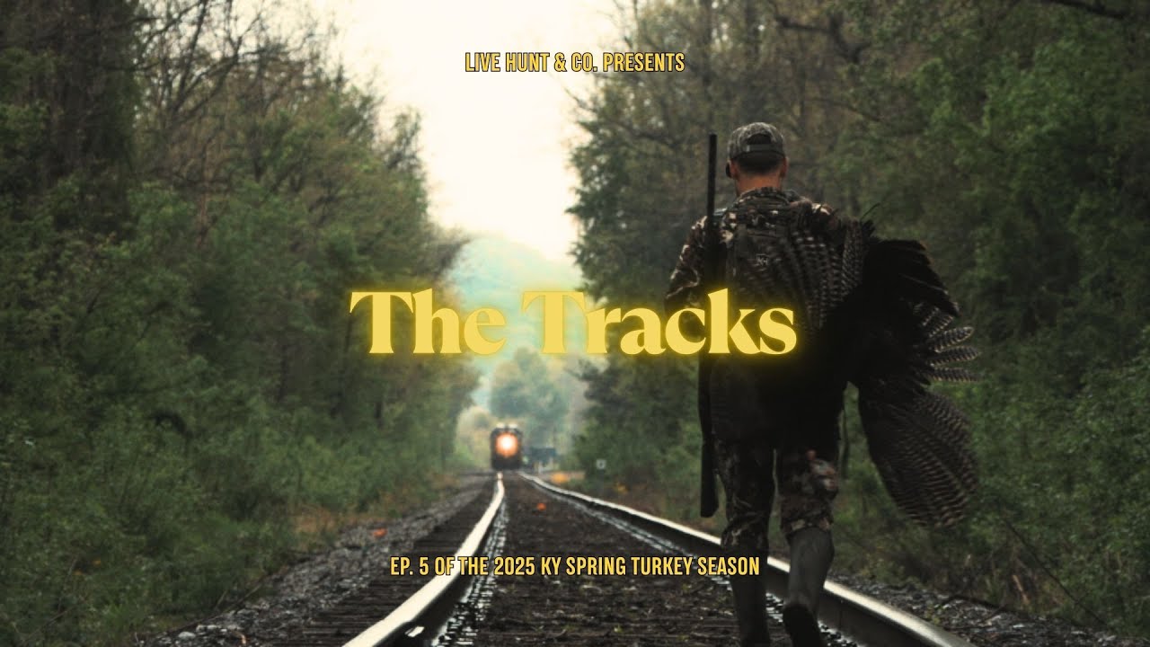 The Tracks | Ep. 5 of the KY Spring Turkey Season