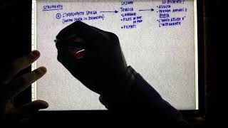 Tecniche didattiche in PRESENZA - Le fasi della spiegazione di uno STRUMENTO - Classe e laboratorio