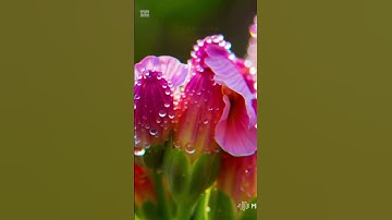 찰나의 순간 AI영상 #AI강사맞수다 #미래교육아카데미 #한국강사교육협회 #챗GPT강사