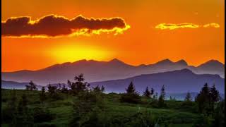 Artic Monkeys 505 super Sped Up