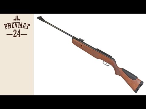Пневматическая винтовка Gamo Hunter DX (дерево)