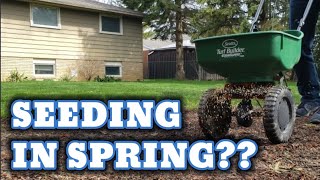 Seed your Lawn in the Spring?? Watch this FIRST!! // Do this...Don't do that!!