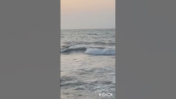 الشيخ سيد سعيد سوره يوسف