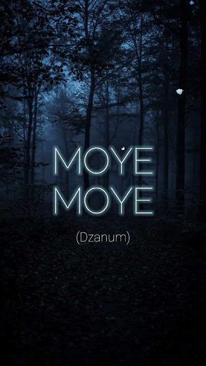 Teya Dora - Dzanum | Lofi Version | Slowed   reverb | Moye Moye #lofimusic #trending #viral #shorts