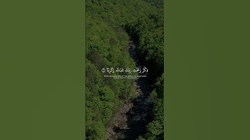 كهيعص ذِكْرُ رَحْمَتِ رَبِّكَ عَبْدَهُ زَكَرِيَّا || القارئ ياسر الزيلعي || من سورة مريم