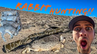 Download Lagu RABBIT HUNTING IN NEVADA! MP3
