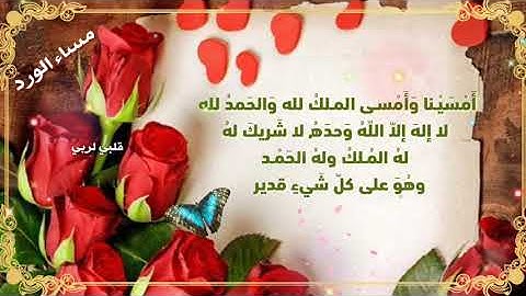 حالات واتس اب دينية🌻مسائية قصيرة 💕💖مساء الخير 💓اذكار المساء💗مقاطع انستقرام دينية قصيرة