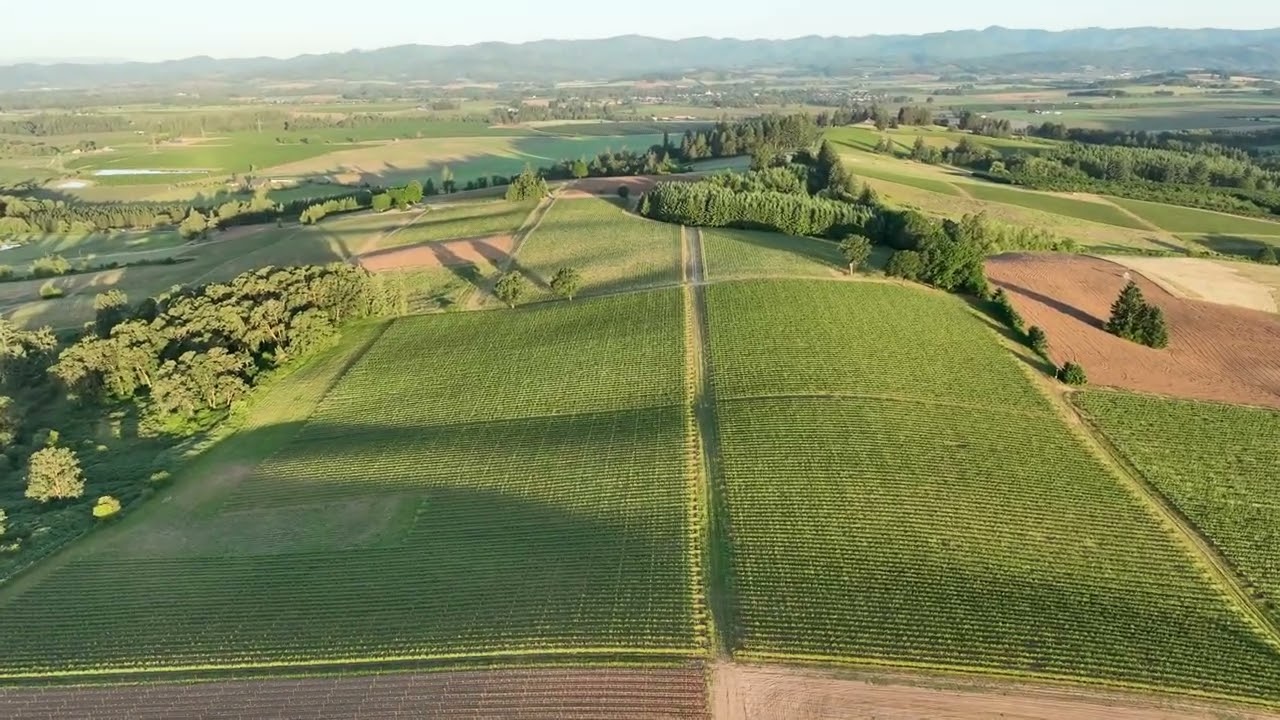 Ken Wright   Bonnie Jean Vineyard