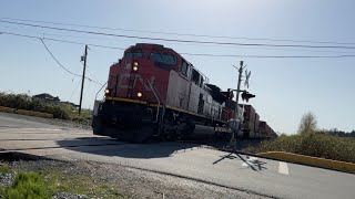 EMD TRIO! CN Q106 slowly through the Colebrook Rd Crossing!