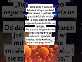 8 PL Absurdalne żarty, Czarny humor, Memy i dowcipy, Nieoczekiwane zwroty, Sarkastyczny humor, Męski