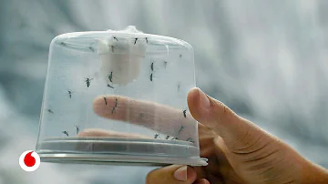 ¿El desodorante repele a los mosquitos?