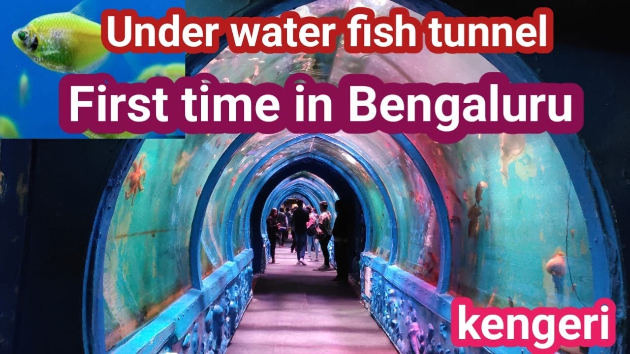 Under Water Fish Tunnel Exhibition Under water Fish Aquarium in