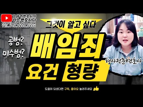 배임죄란? 배임 요건, 형량 판례｜배임죄 고의 미수 처벌｜횡령죄 차이