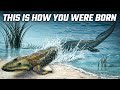 The True History of the Planet: From the Big Bang to Today 🌍 | Full Documentary
