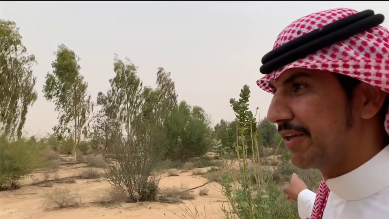 هذه أشجار منقرضة في السعودية وهاوي يعيدها من جديد..