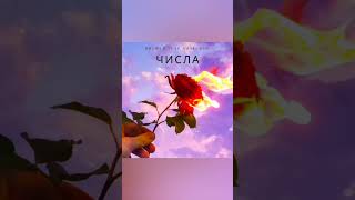 Bbchild Feat. Smoki Dog - Числа (Snippet Music 2023)