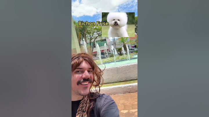 RAÇAS DE CÃES VISITANDO O INTERIOR