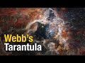 Webb&#39;s Tarantula (and Orion!) nebula are AMAZING!