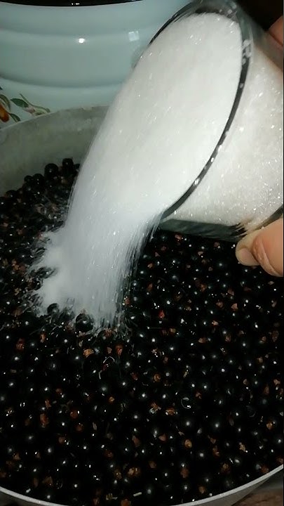 Джем из чёрной смородины. Желе из чёрной смородины. Варенье из чёрной ...