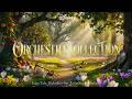 Magical Disney Orchestra Collection with Fairytale Forest  🍎 Soft Melodies for Relaxing Moments
