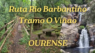 Caminata ruta Río Barbantiño tramo O Viñao. Punxin. Ourense.