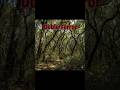 Doble terror. #cuento, #terror, #microcuentoterror, #videocuento
