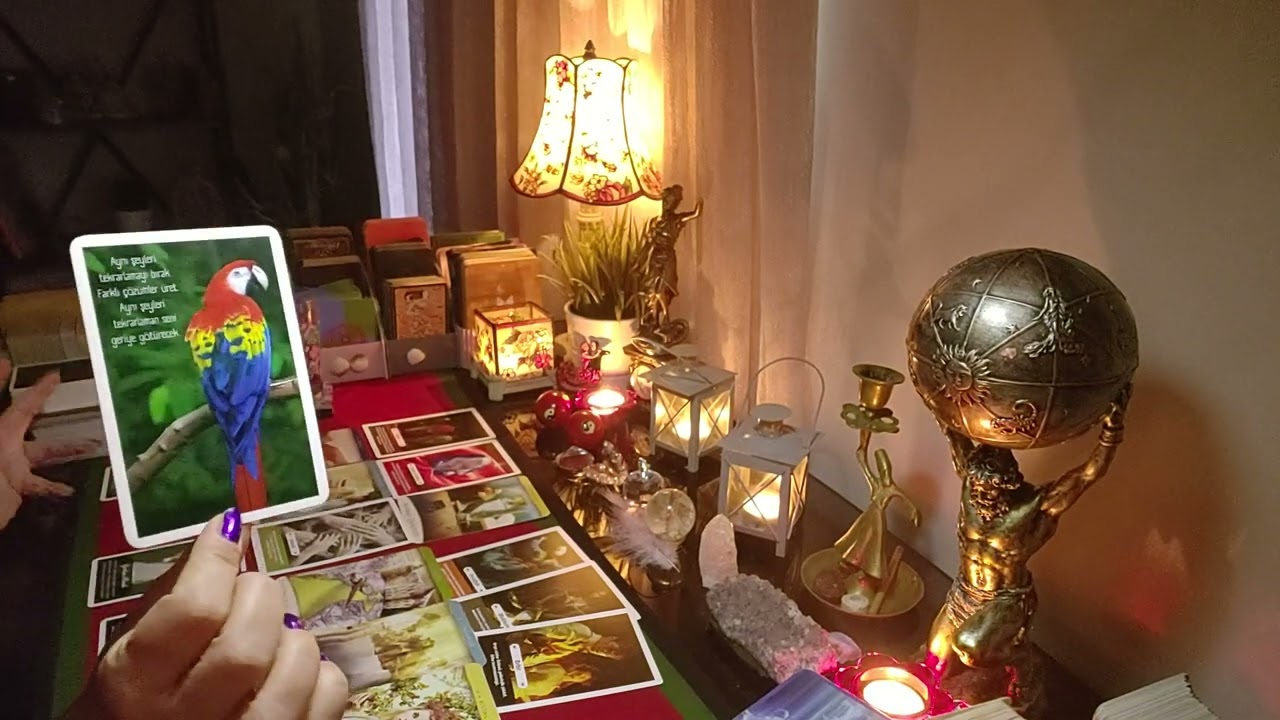 Eril 💞Dişil Enerjiler Ne Durumda? Neyi Bilmeliler? Karşılıklı Duygu💏Düşünce💬Niyet🙏💫💘 Tarot Açılımı