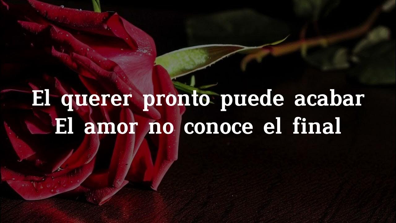 José José Amar y Querer (Letra) YouTube