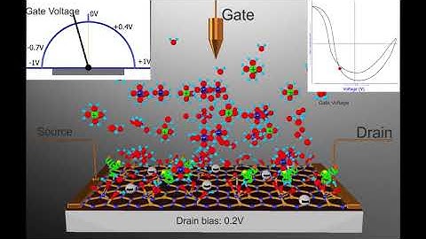 Graphene based electrical biosensors for label free monitoring of Adalimumab towards personalized ma