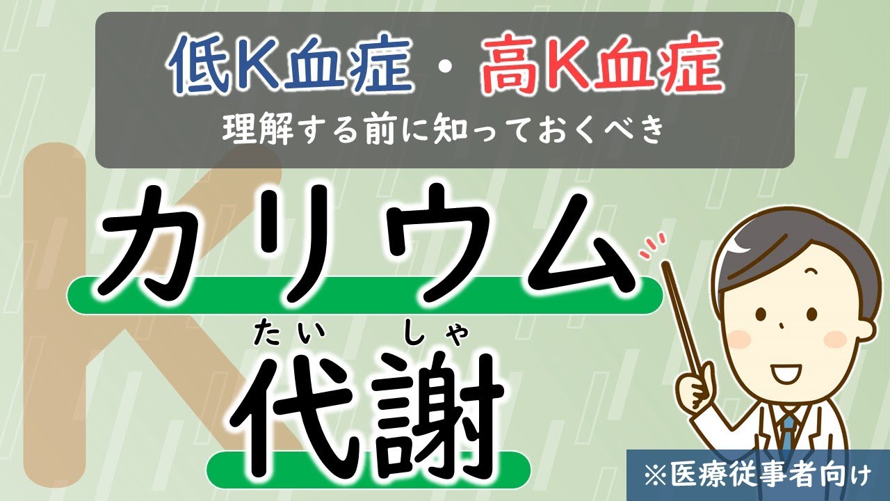 (第11回)【低K血症・高K血症の前に】カリウムの代謝を理解しよう【腎臓内科医が解説】