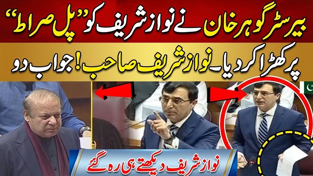 Barrister Gohar Khan Fiery Speech Against Nawaz Sharif National Assembly Session 🚨
