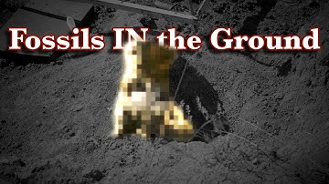 It