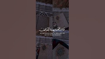 قرآن كريم راحة نفسية ودواء للقلب والنفس #الله #قرآن