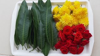 6 Zero Cost Mango Leaves Decoration Ideas For Varamahalakshmi Pooja | Background Ideas for Home 2022