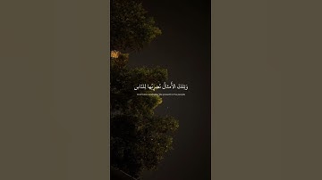 روائع القرآن الكريم #قران #ارح_قلبك #راحة_نفسية #fyp