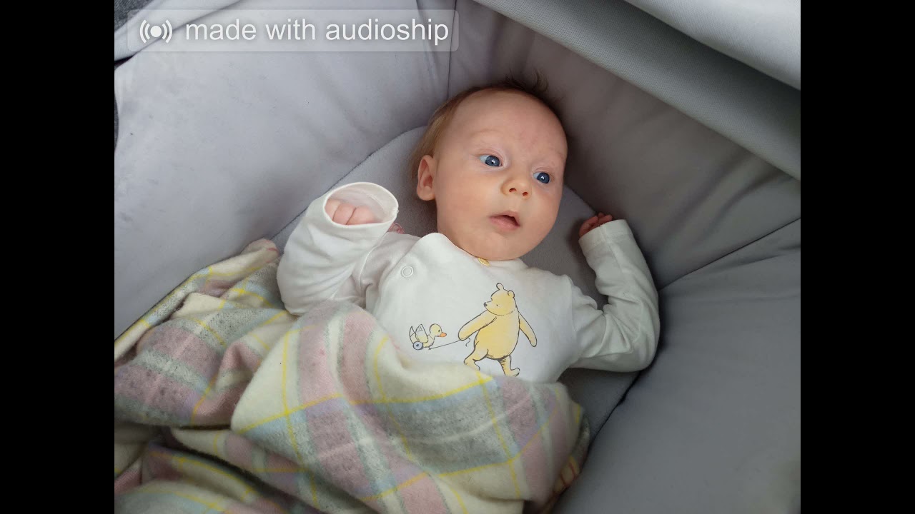 11. Somnis - Tengo una vaca lechera