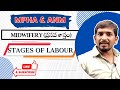 ANM & MPHA(F) నర్సింగ్ | MIDWIFERY (ప్రసవ శాస్త్రం) - LABOUR PAIN పూర్తి వివరణ 🚑👶 | Nidhya Nursing |