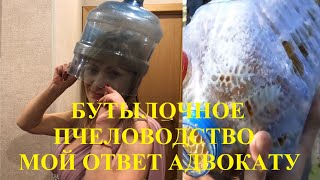 Где живут пчёлы. Мой ответ адвокату Егорову.