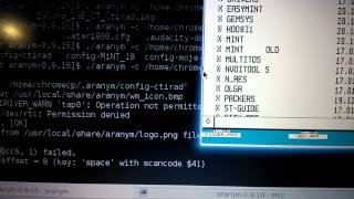 Aranym mouse problem