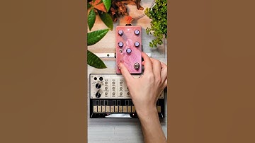 Korg Volca Keys + Old Blood Noise Endeavors Sunlight｜Ambient, Soundscape, Dawless　#shorts
