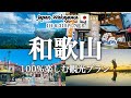 【和歌山観光】和歌山の定番・穴場スポットを車で巡る旅行プランを紹介!観光費用まとめ💰和歌山城|ポルトヨーロッパ|海鮮BBQ|自然カフェ|生石高原|日本のウユニ塩湖