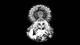 Mr.Kitty - My Favorite Ghost (Acapella)
