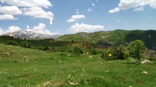 Dersim, Ovacık, Up From Kırmel, Blm Ii