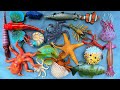 SEA ANIMAL SHARK,STINGRAY,STARFISH,SPOTTES EAGLE RAY OCTOPUS,LARGEMOT,DUGONG,MANTARAY,LOBSTER 100