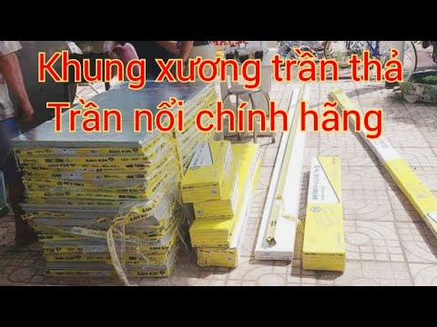 Video Hướng Dẫn Chi Tiết Phân Biệt Khung Xương Trần Thả Hàng... - youtube