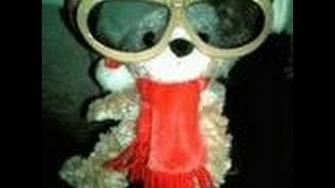 Sphinxにおけるdocutilsの役割